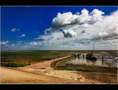 Texel Juli/August 2017