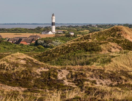 Sylt 2018/2019