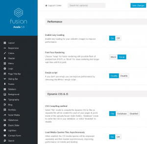 Performace Settings im AVADA Theme