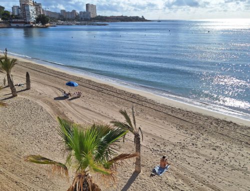 Alicante November 2025: Sonnige Auszeit
